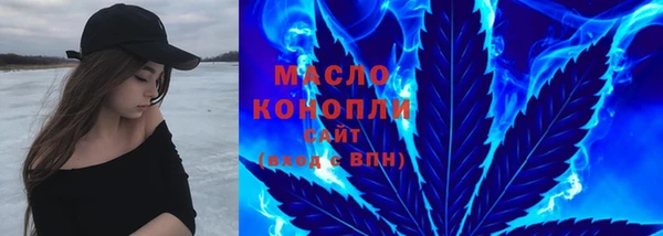 СК Алексин