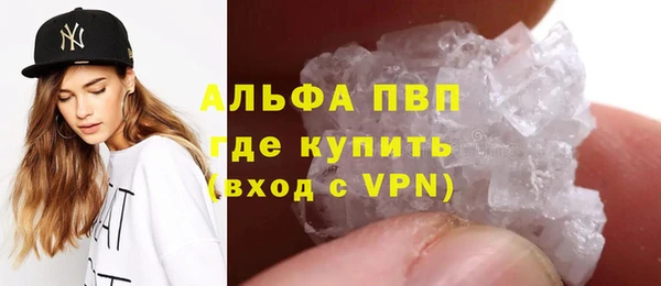 СК Алексин