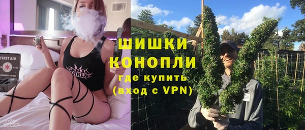 СК Алексин