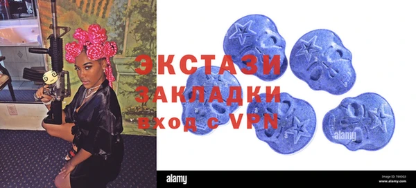 СК Алексин