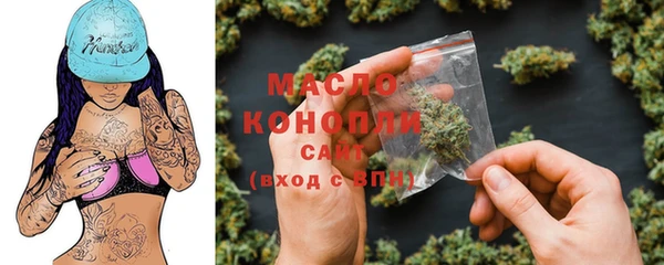 СК Алексин