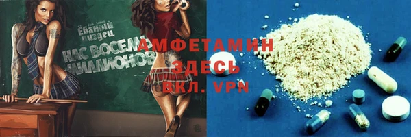 СК Алексин