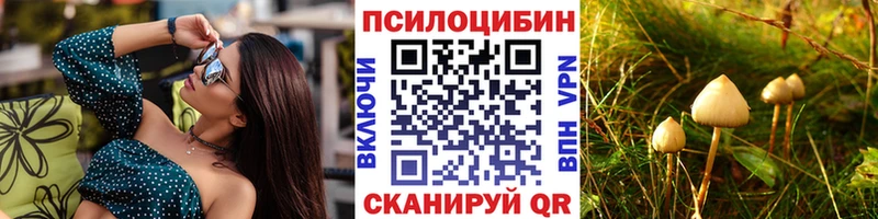 наркота  Дюртюли  Галлюциногенные грибы мицелий 